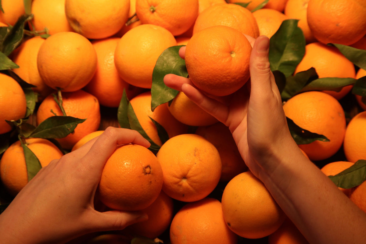 Dreaming of an orange Christmas