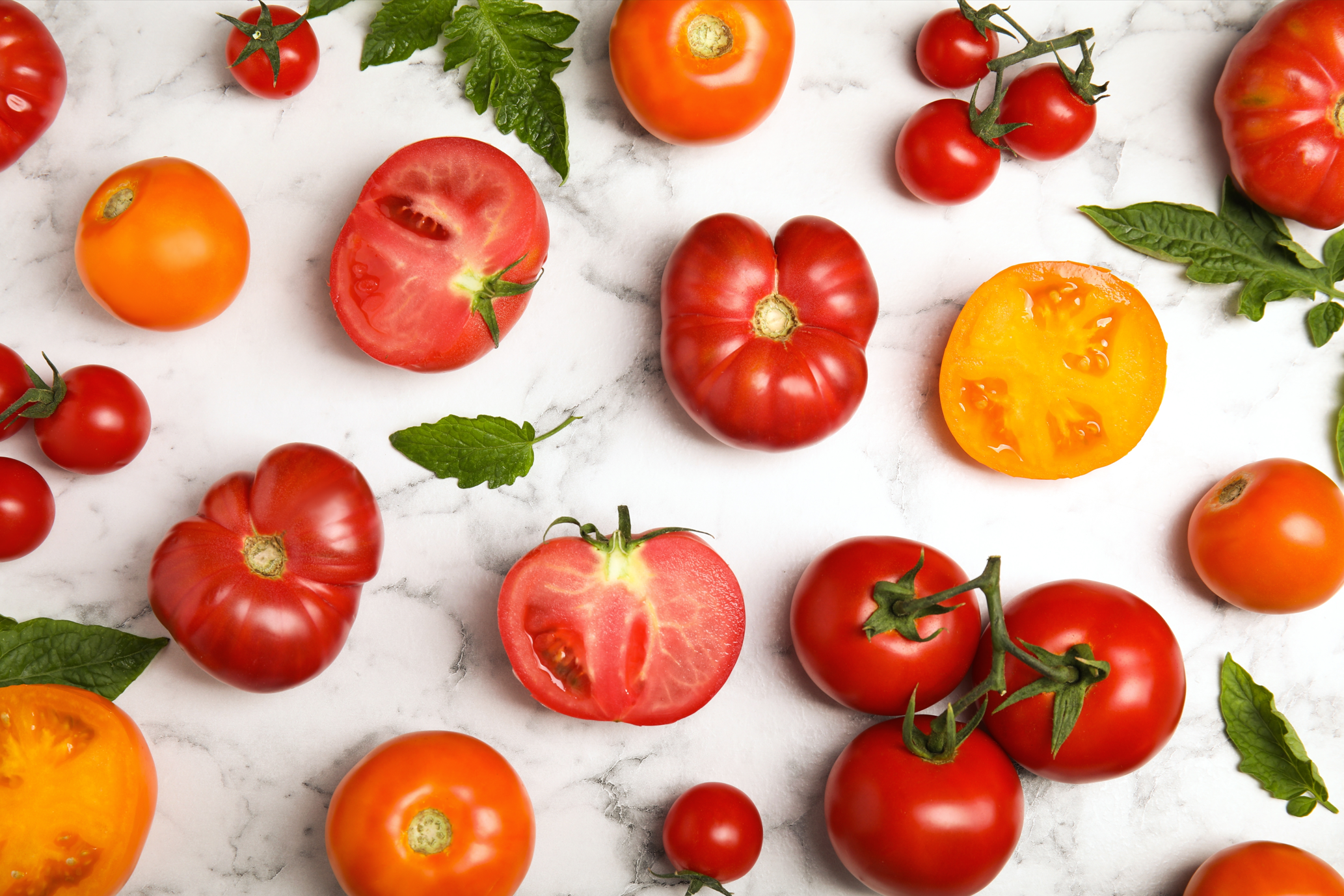A colorful assortment of fresh tomatoes including cherry, Roma, San Marzano, heirloom, grape, and sun-dried varieties, arranged on a rustic surface