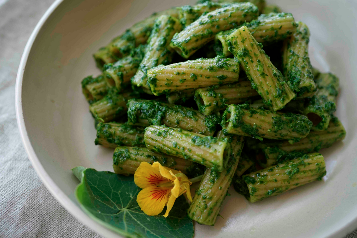 Nasturtium pesto pasta made with fresh nasturtium leaves, pine nuts, olive oil, and parmesan cheese