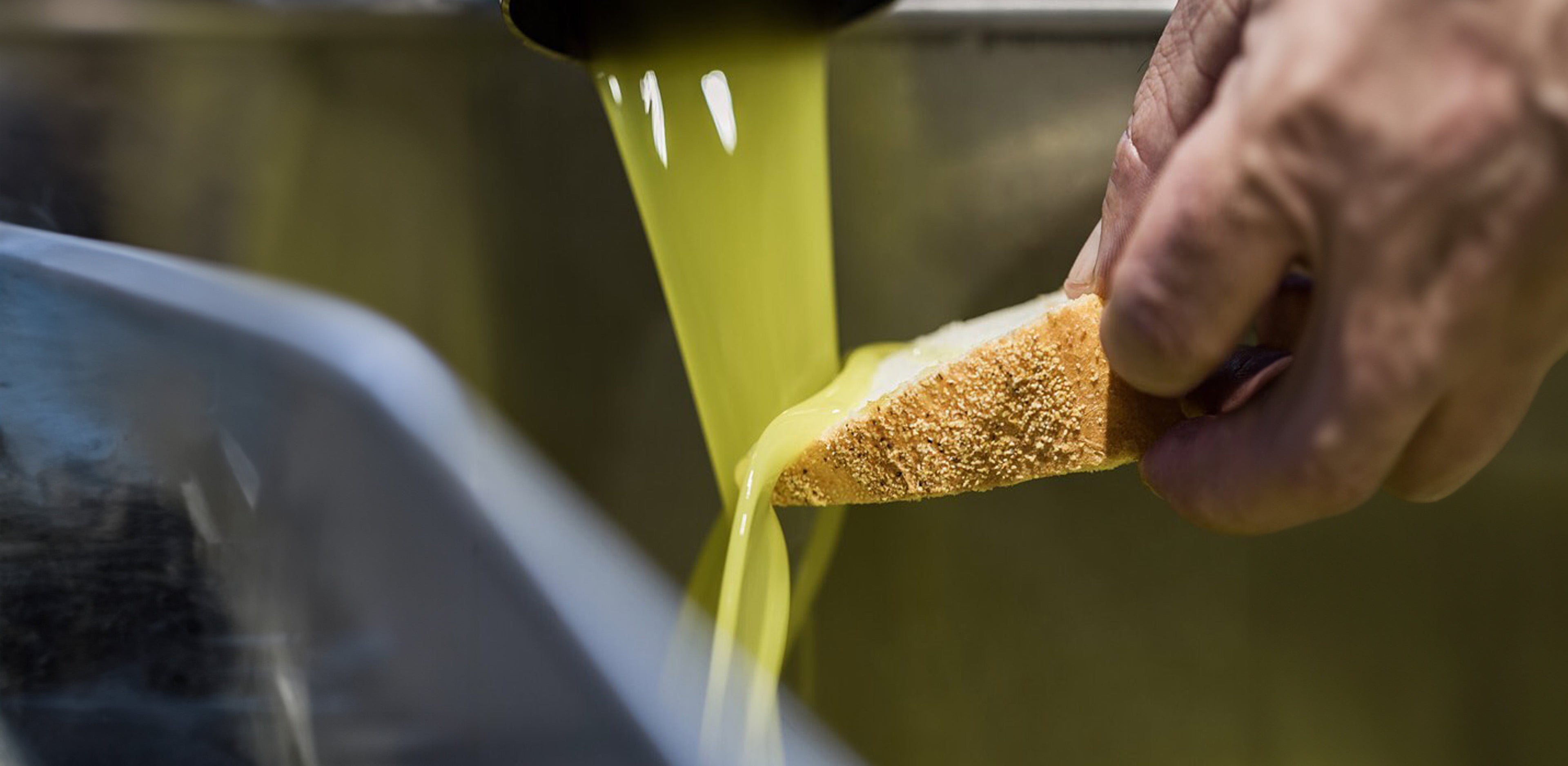Olive Oil