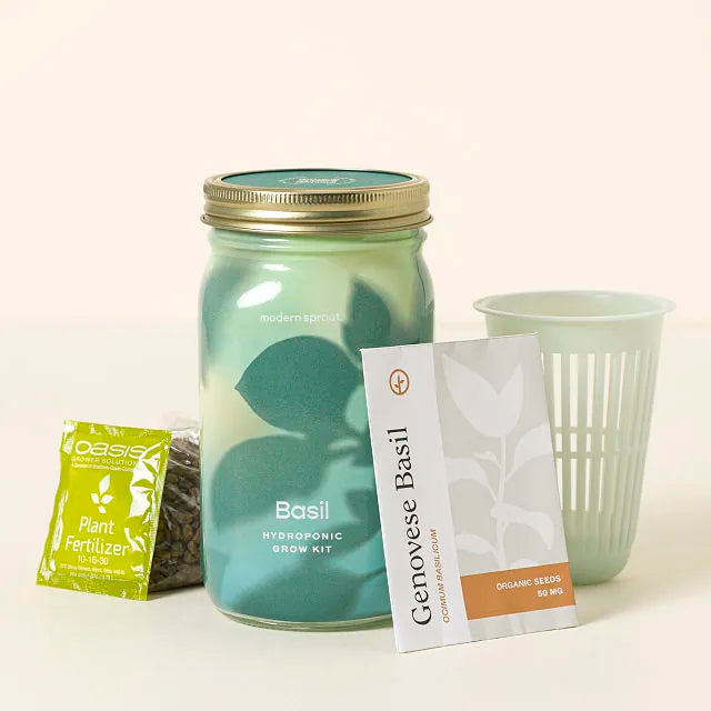 Basil hydroponic grow kit with glass jar, seeds, fertilizer, and planting cup