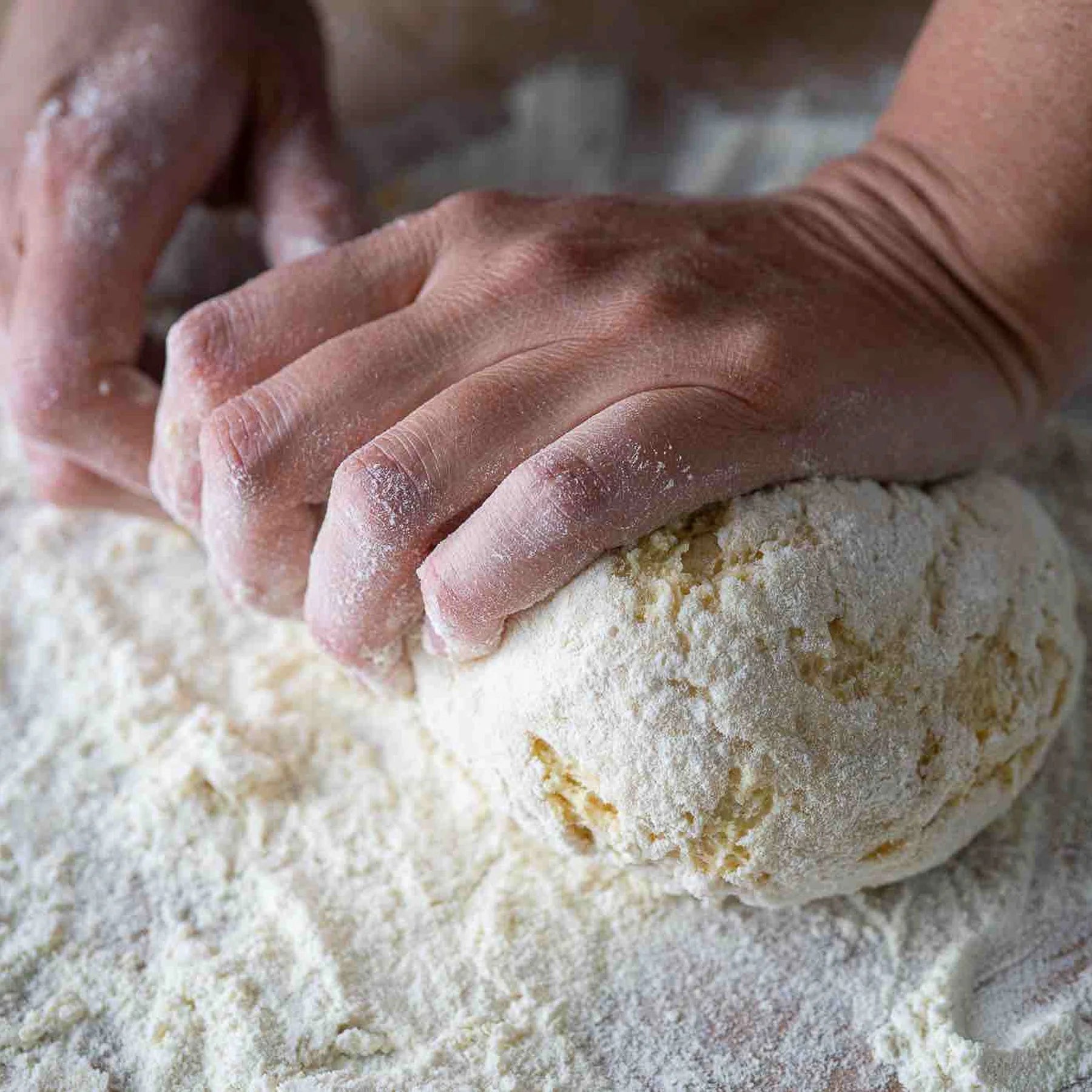 Pasta 101 (Aug 4)