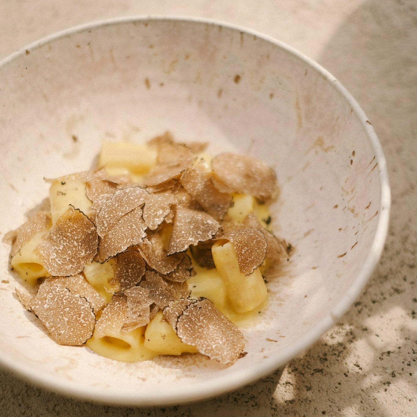 Truffle Carbonara Sauce