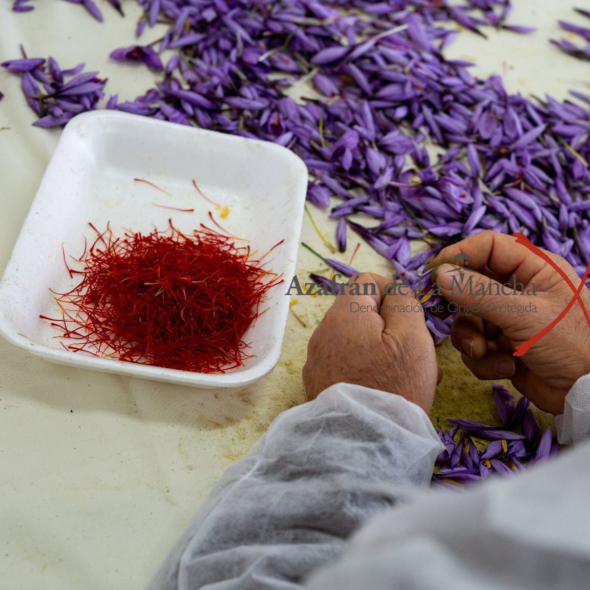 Pure Saffron stigmas - 100% PDO from Mancha - Spain    0.09 0z - TARTUFLANGHE USA