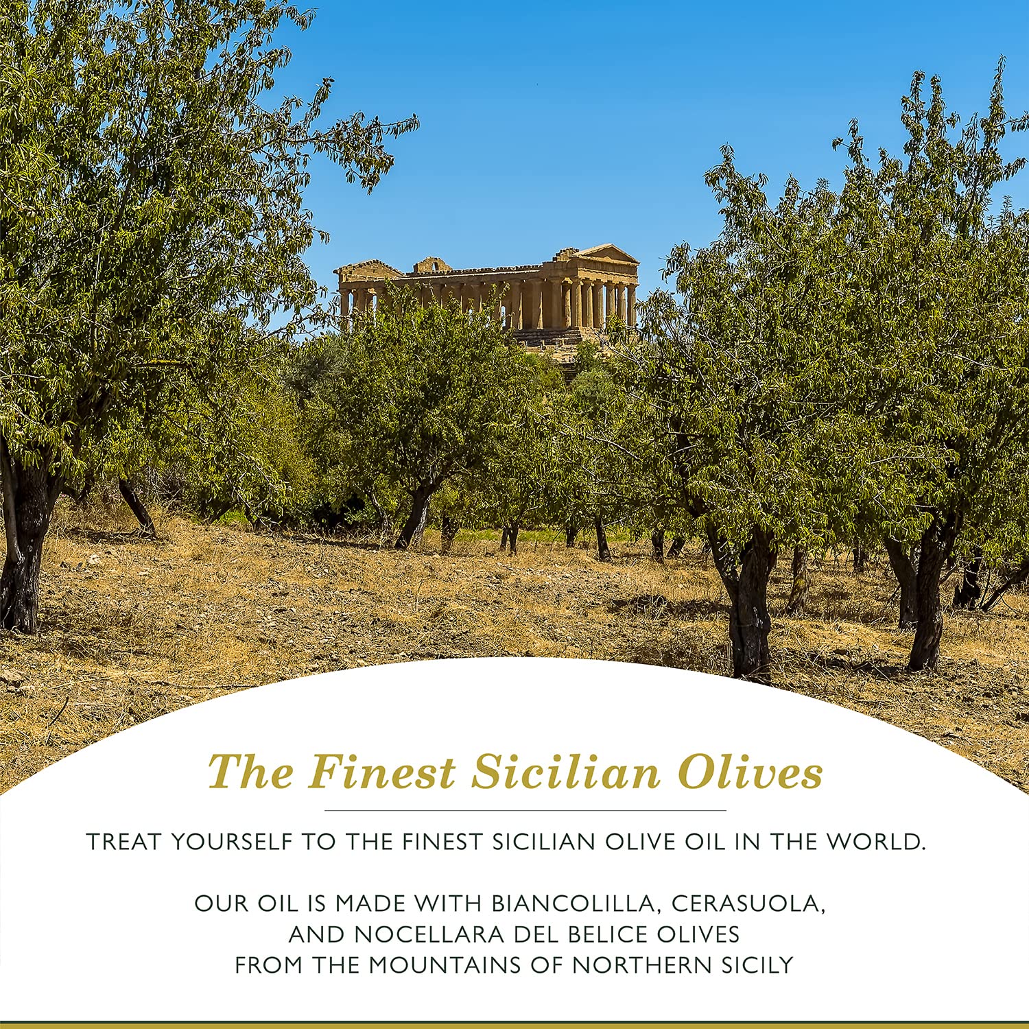 Frantoia Extra Virgin Olive Oil