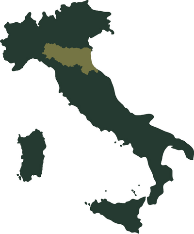 Made in Modena, Italy