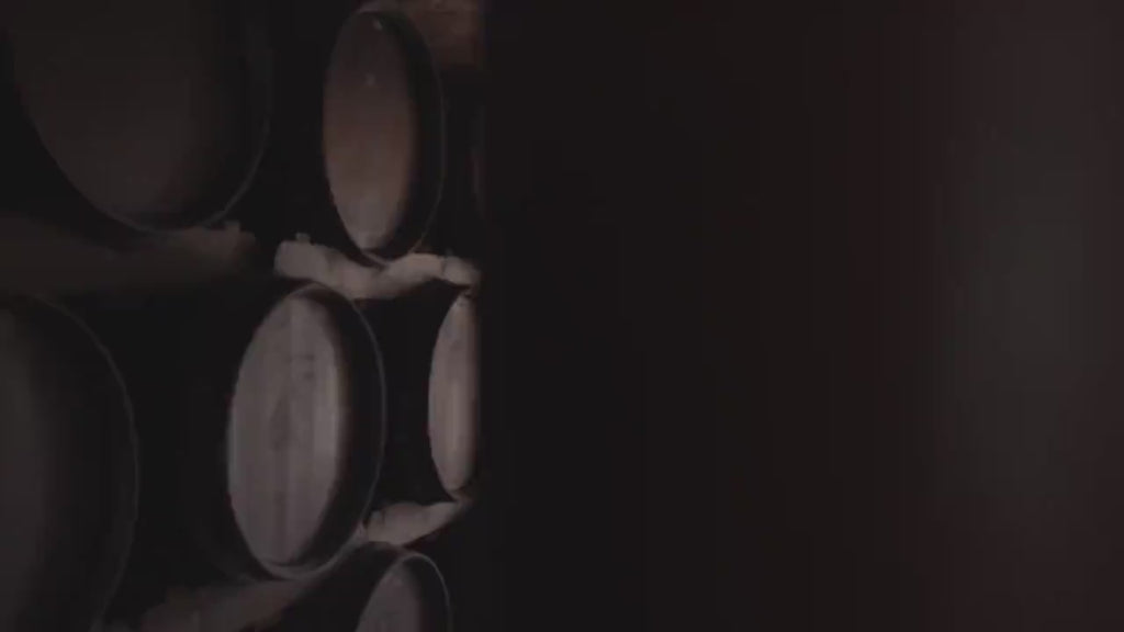 Aged (12yr) Balsamic Vinegar of Modena - IGP- 3 Gold Medals - by Giusti