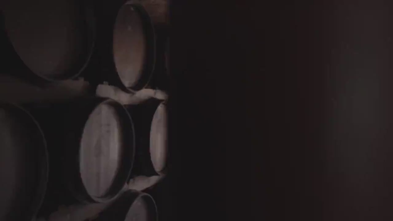 Aged (12yr) Balsamic Vinegar of Modena - IGP- 3 Gold Medals - by Giusti