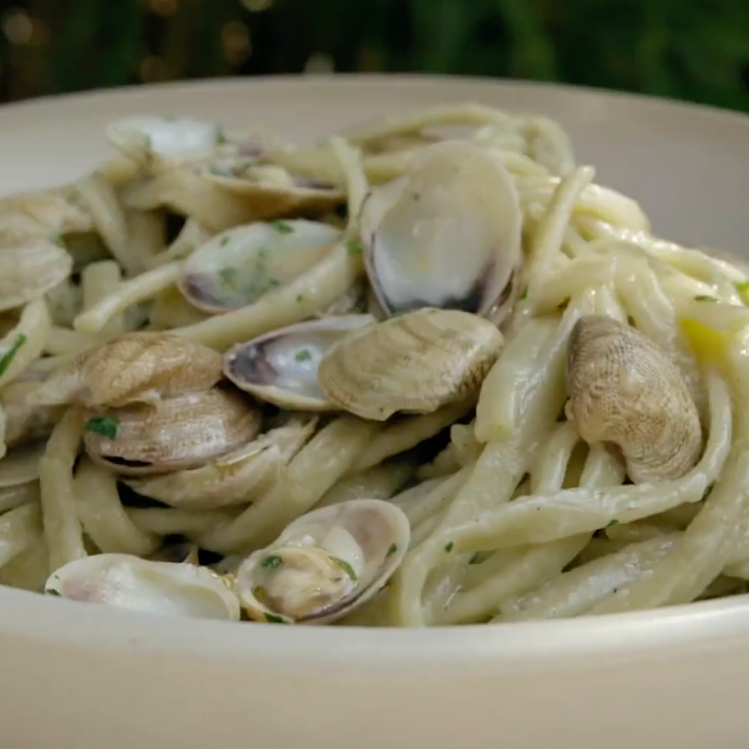 Pasta, Olive Oil & Tradition