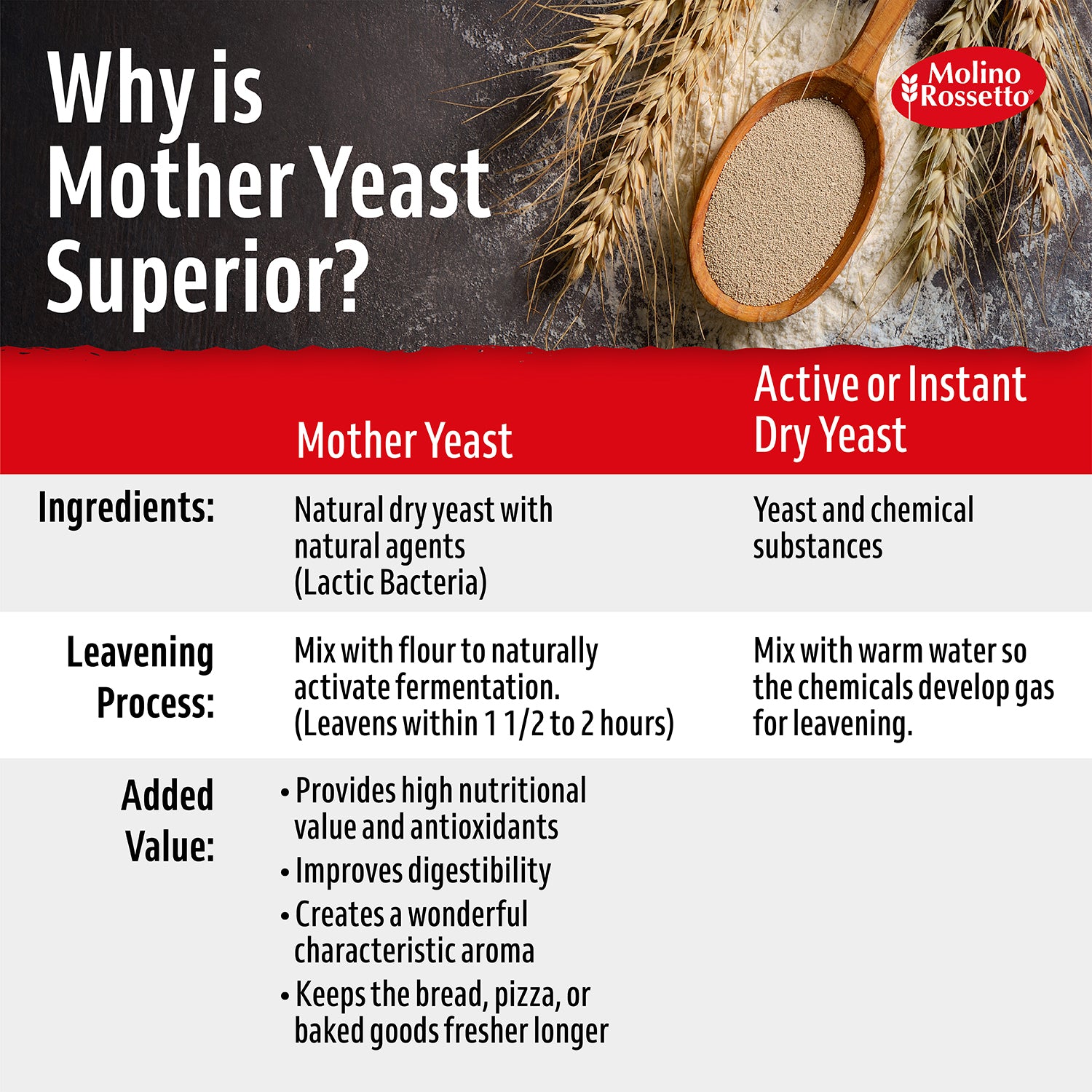 Rapid-Rise Dry Yeast for Baking - Instant Yeast for Baking by Molino Rossetto